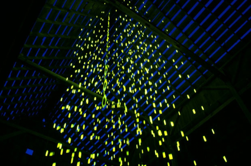 http://dashboards.mirunadragan.com/files/gimgs/th-22_LoveFromAbove_instal4-web.jpg